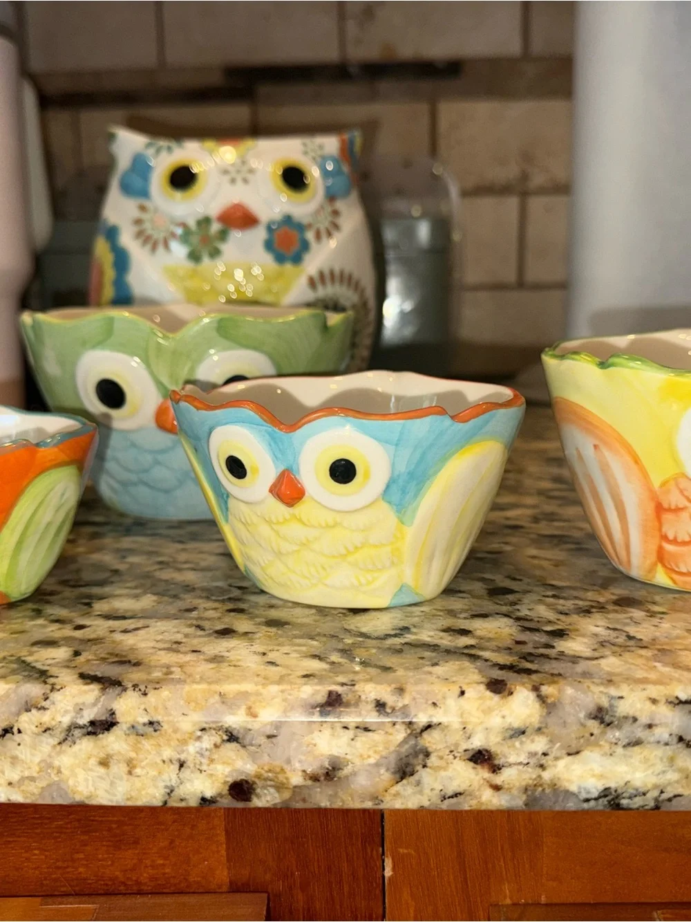 Pier 1 Hand-Painted Owl Ceramic Set